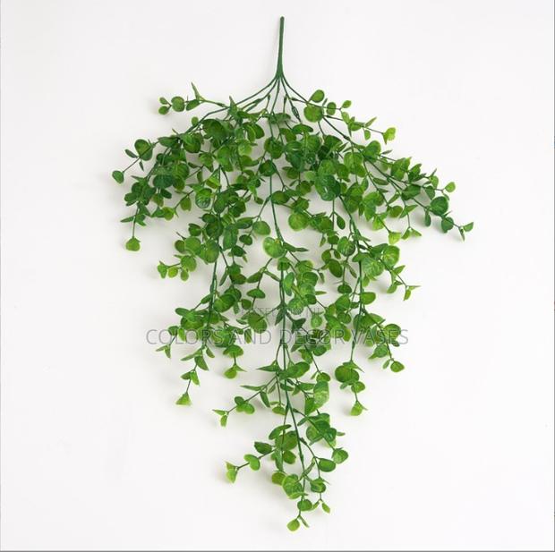 Vines KSH 1000