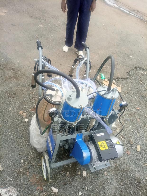 Double Bucket Milking Machine - main view