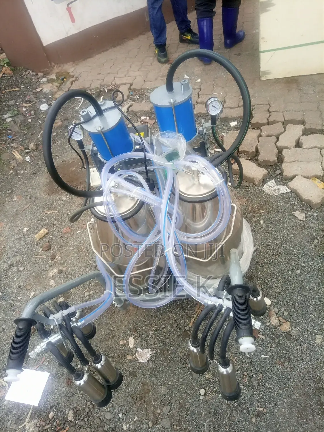 Electric Milking Machine Double Bucket