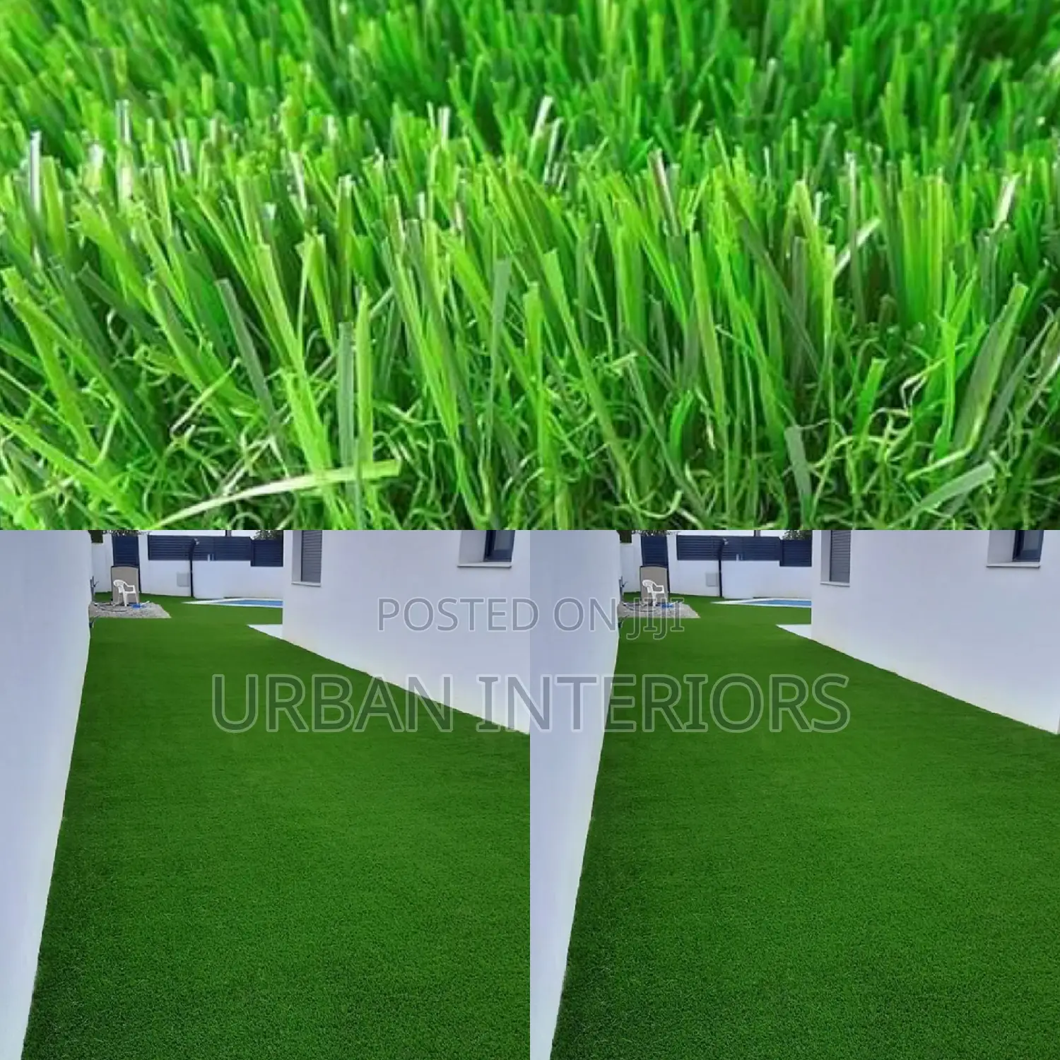Grass Carpet Grass Carpet Grass Carpet Grass Carpet