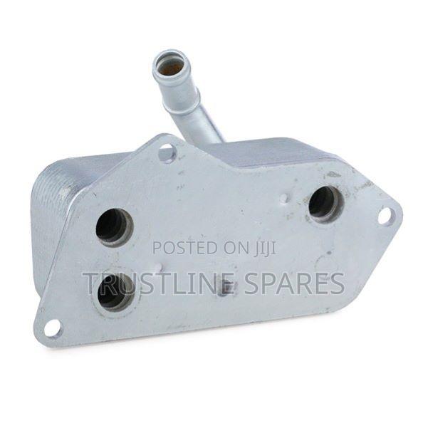 BMW F20, F30, X5 N20,N55 Engine Oil Cooler