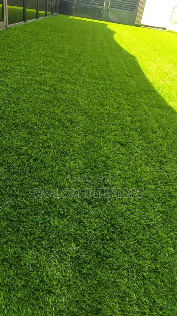 Turf Grass Turf Grass Turf Grass Turf Grass Turf Grass