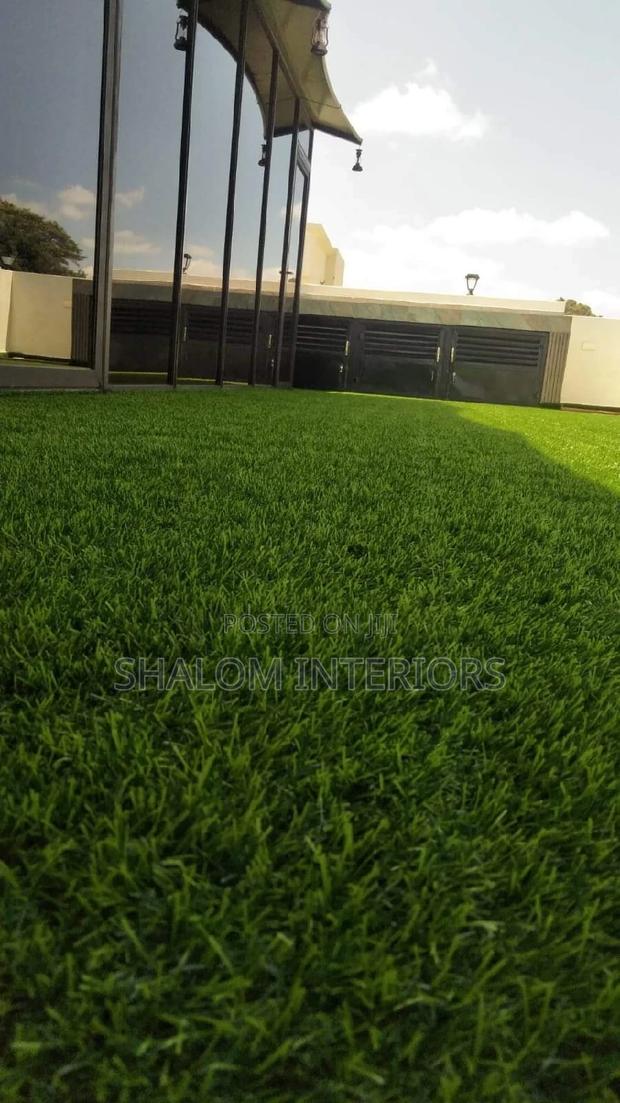 Grass Carpet Grass Carpet Grass Carpet Grass Carpet