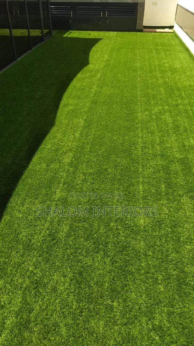 Turf Grass Turf Grass Turf Grass Turf Grass Turf Grass