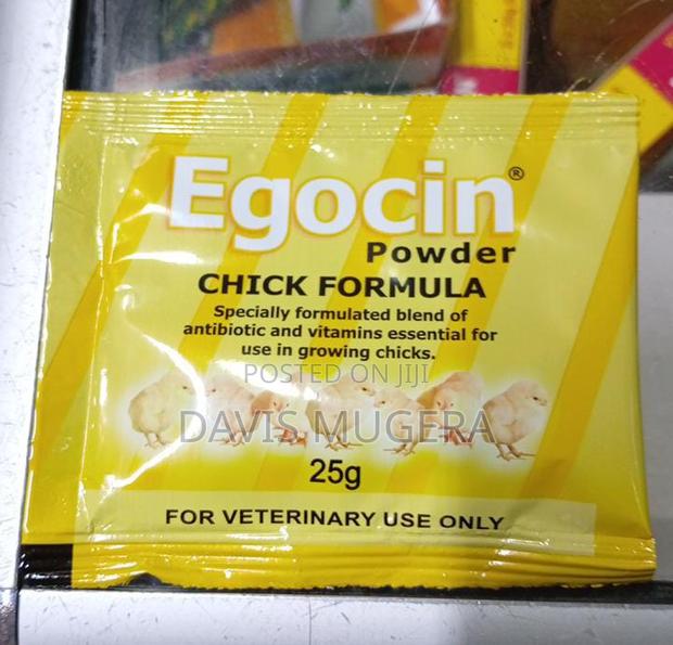 Box of Egocin Powder Chick Formula for Poultry - 5 Pieces