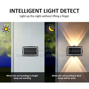 Outdoor Solar Lights/Decoration Lights
