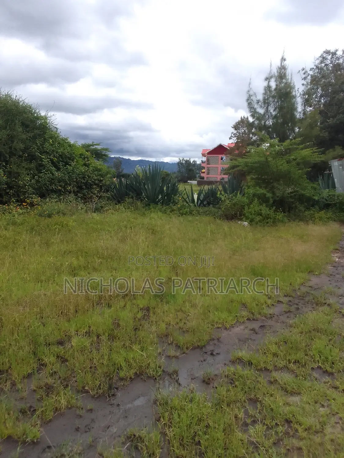100x100 Plot Machakos Lenya Israel 50m From Main Road at 8m