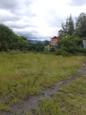 100x100 Plot Machakos Lenya Israel 50m From Main Road at 8m