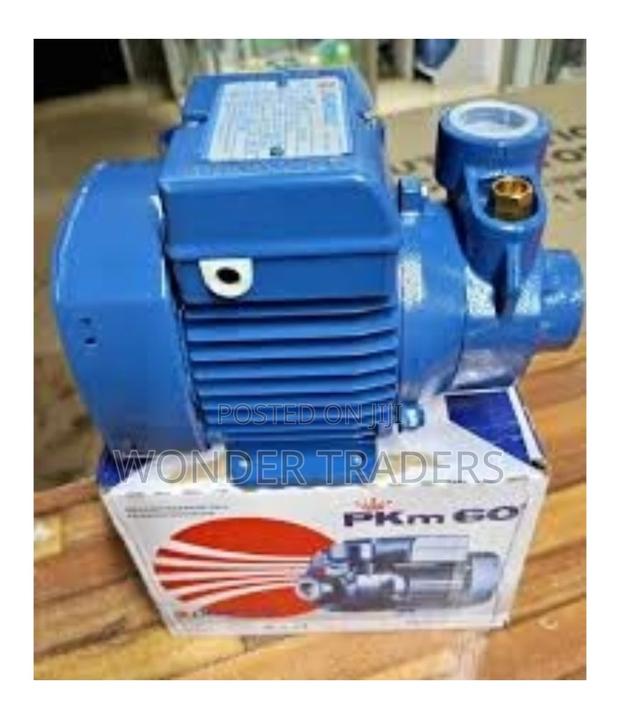Pedroll Water Pump,0.5hp Water Pump
