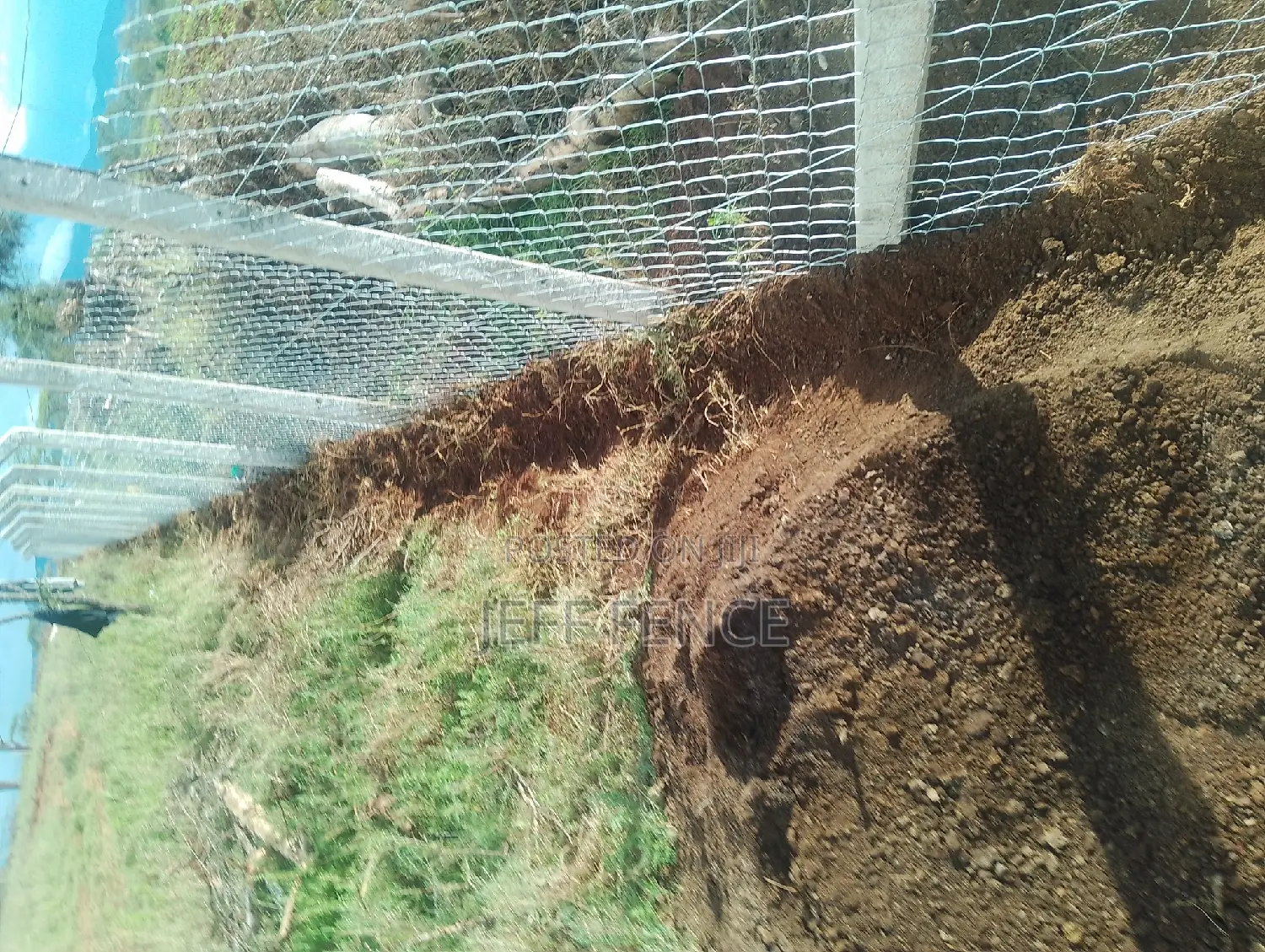 Fencing Services