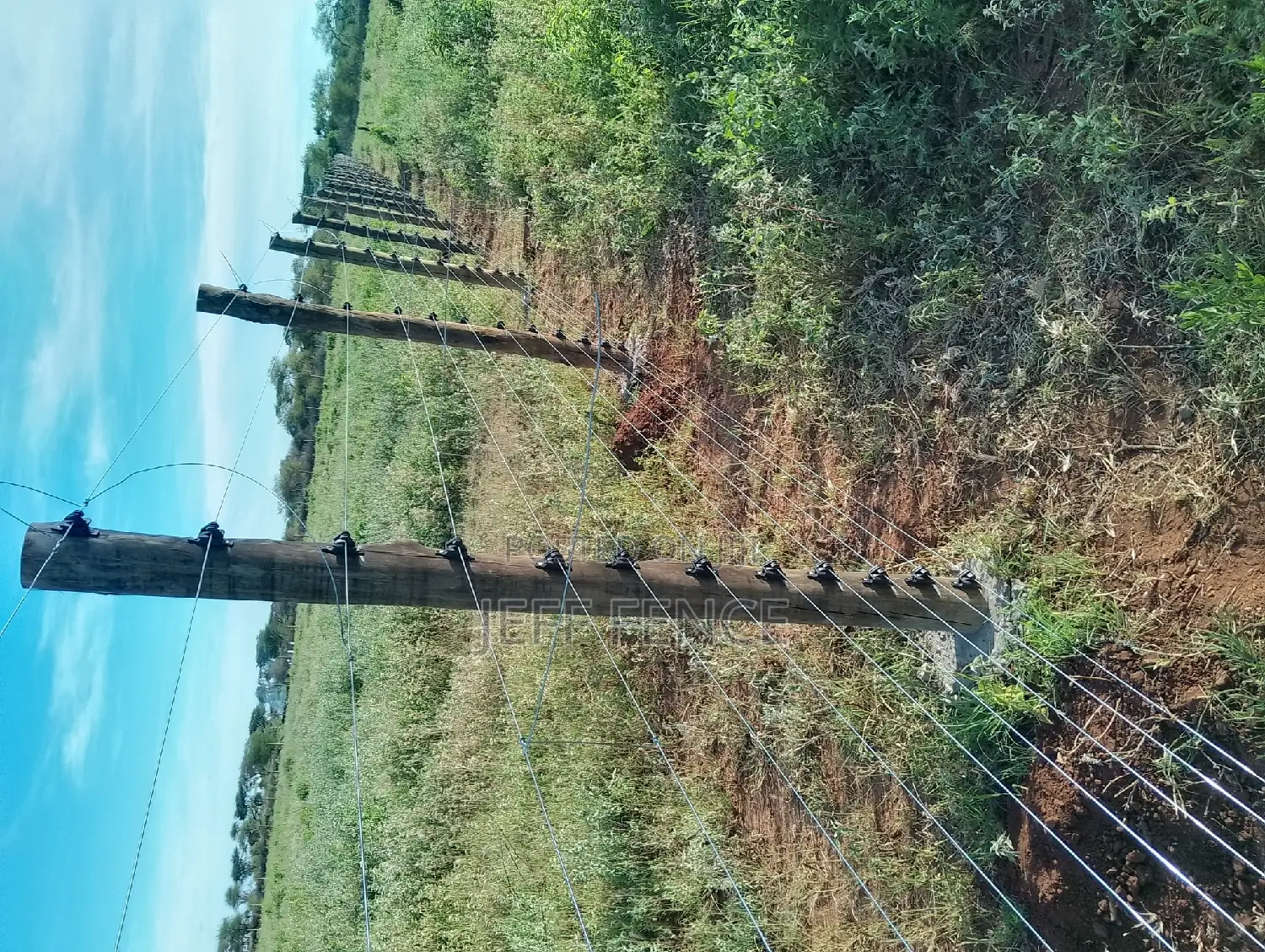 Fencing Services