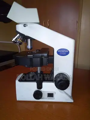Cx21 Olympus Microscope