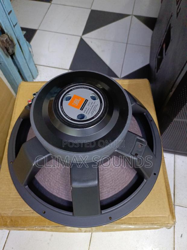 JBL Double Magnet Speaker Naked,