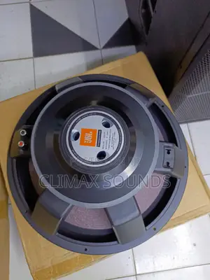 JBL Double Magnet Speaker Naked,