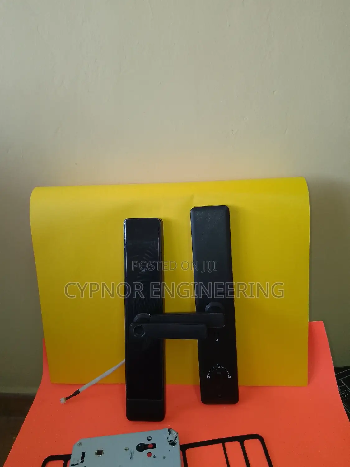 Biometric Electronic Key Unlock