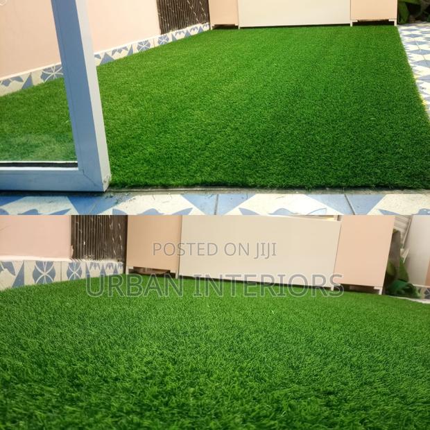 Grass Carpet Grass Carpet Grass Carpet Grass Carpet