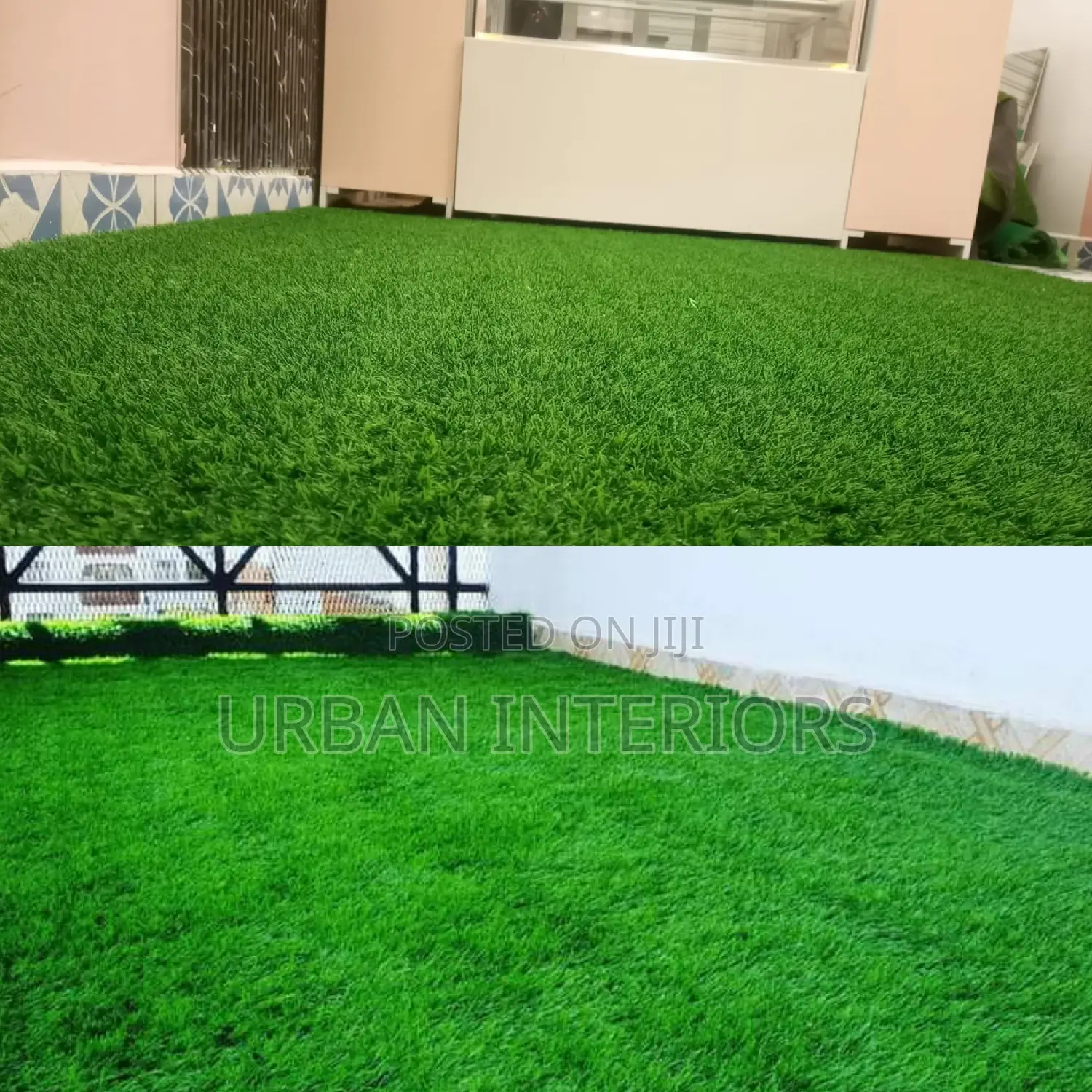 Grass Carpet Grass Carpet Grass Carpet Grass Carpet