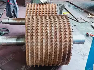 Automatical Double Toothed Roll Crusher Coal Crusher Machine