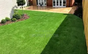 Grass Carpet Grass Carpet Grass Carpet Grass Carpet