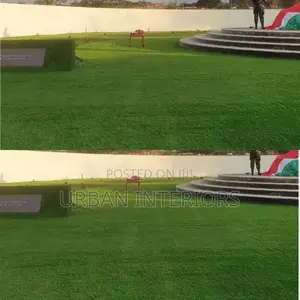 Grass Carpet Grass Carpet Grass Carpet Grass Carpet