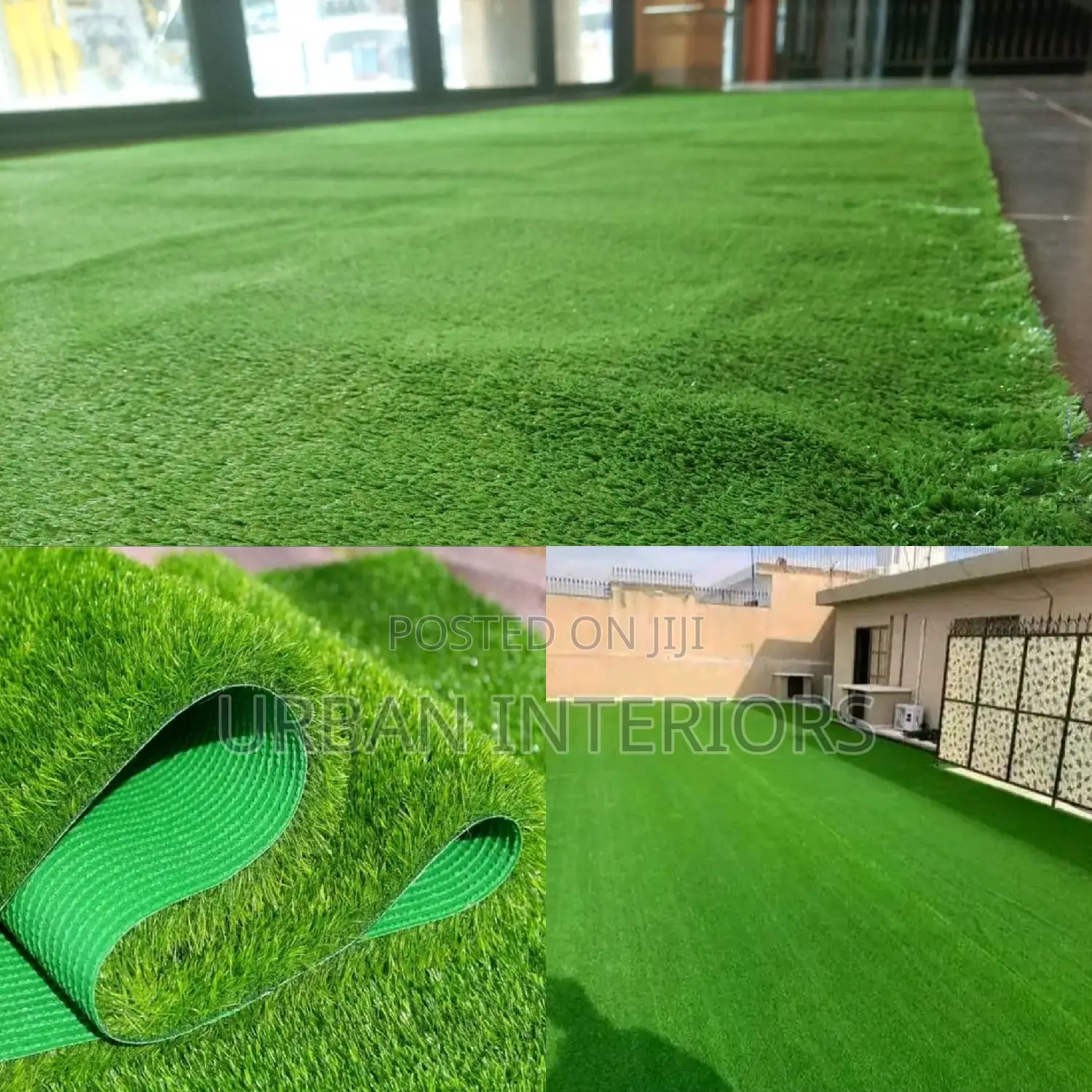Grass Carpet Grass Carpet Grass Carpet Grass Carpet