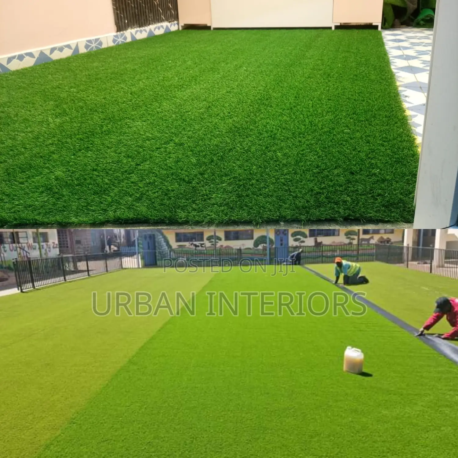 Grass Carpet Grass Carpet Grass Carpet Grass Carpet