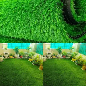 Grass Carpet Grass Carpet Grass Carpet Grass Carpet