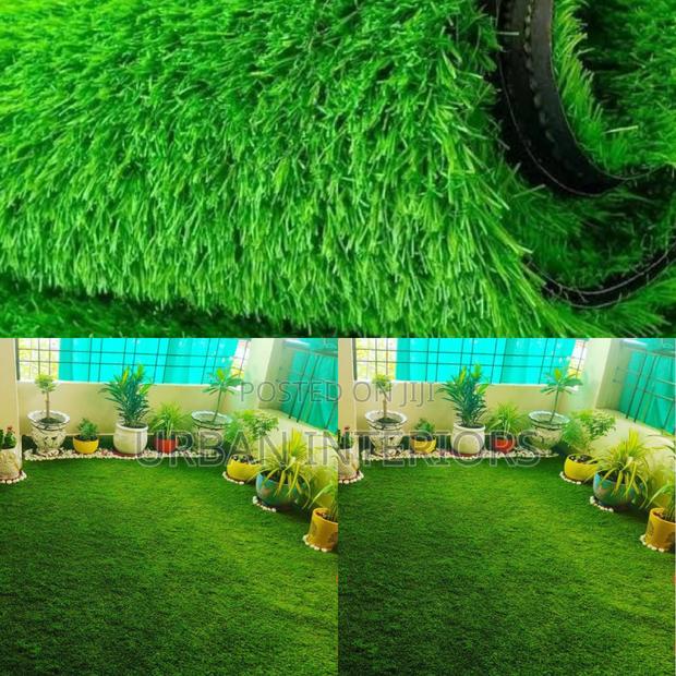Grass Carpet Grass Carpet Grass Carpet Grass Carpet - main view