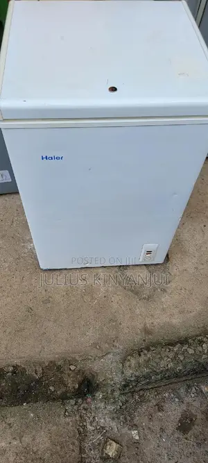 Mini Freezer 100L