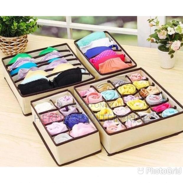 Cloth, Undergarments Cloth Organizer