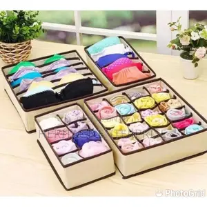 Organizer,Undergarments Cloth Organizer 4 in 1