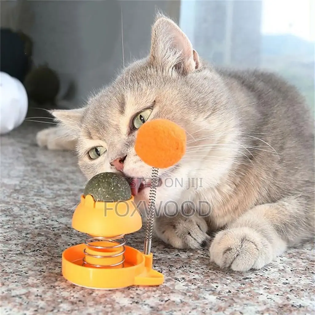 Catnip Rotatable Cat Licking Ball