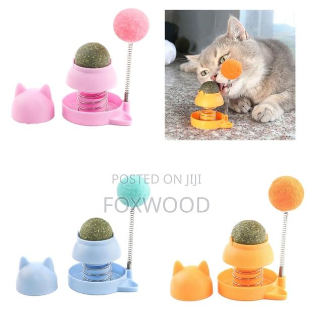 Catnip Rotatable Cat Licking Ball