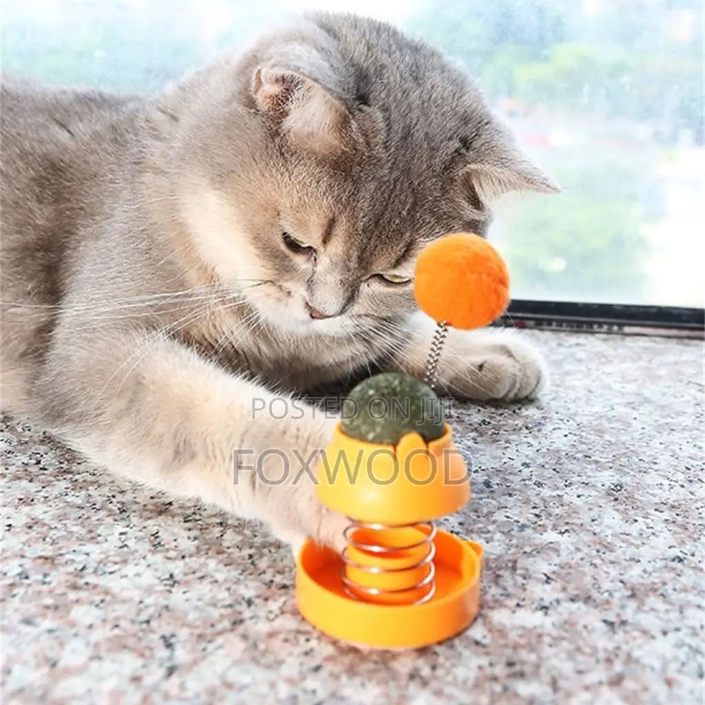 Catnip Rotatable Cat Licking Ball