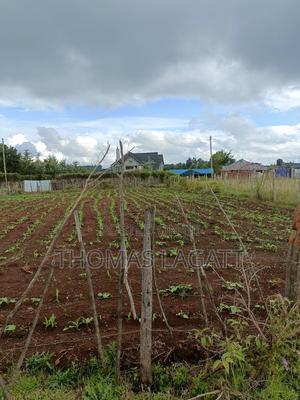 A Very Prime Residential 1⁄4 Acre Plot on Sale - thumbnail 2