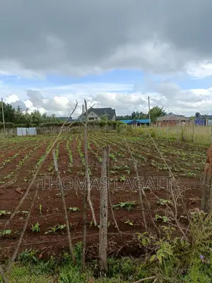 A Very Prime Residential 1⁄4 Acre Plot on Sale