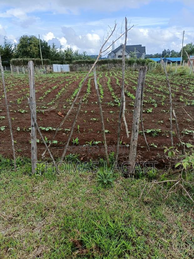 A Very Prime Residential 1⁄4 Acre Plot on Sale - thumbnail 3