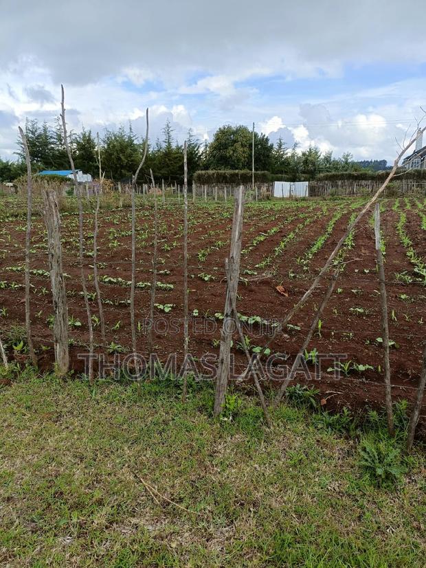 A Very Prime Residential 1⁄4 Acre Plot on Sale - thumbnail 4