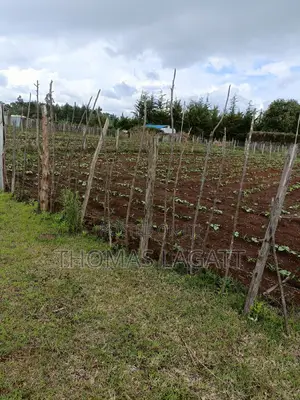 A Very Prime Residential 1⁄4 Acre Plot on Sale
