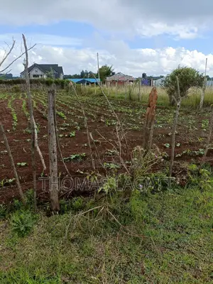 A Very Prime Residential 1⁄4 Acre Plot on Sale