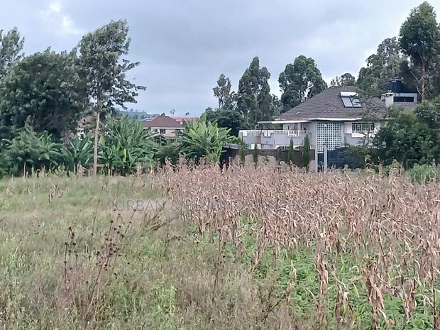 Prime Plots for Sale (1⁄8 /50 by 100 Ft)