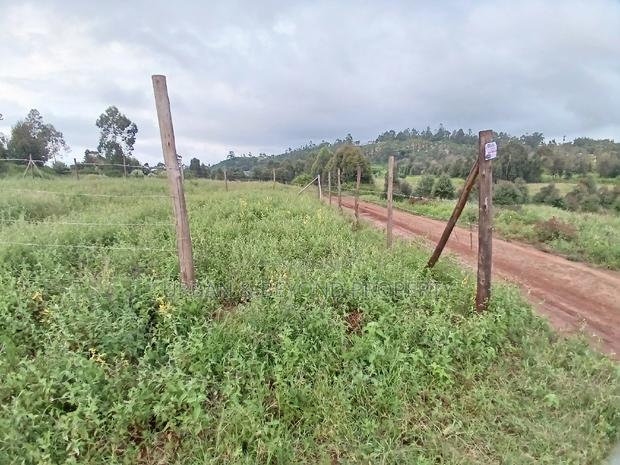 Prime Plots for Sale (1⁄8 /50 by 100 Ft) - thumbnail 3