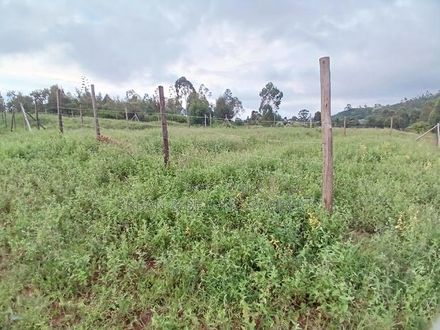 Prime Plots for Sale (1⁄8 /50 by 100 Ft) - thumbnail 2