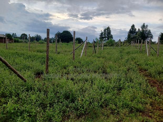 Prime Plots for Sale (1⁄8 /50 by 100 Ft) - thumbnail 5