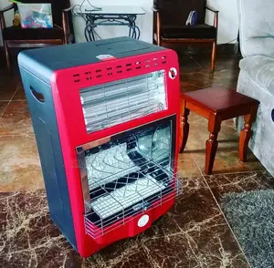 Premium Hybrid Gas Heater With Electric Heating Option