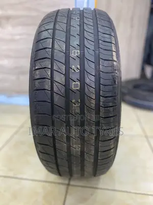 225/50r17 Dunlop
