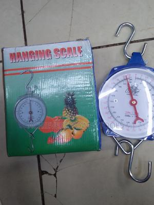 Hanging Scale/ Analogue Scale - main view