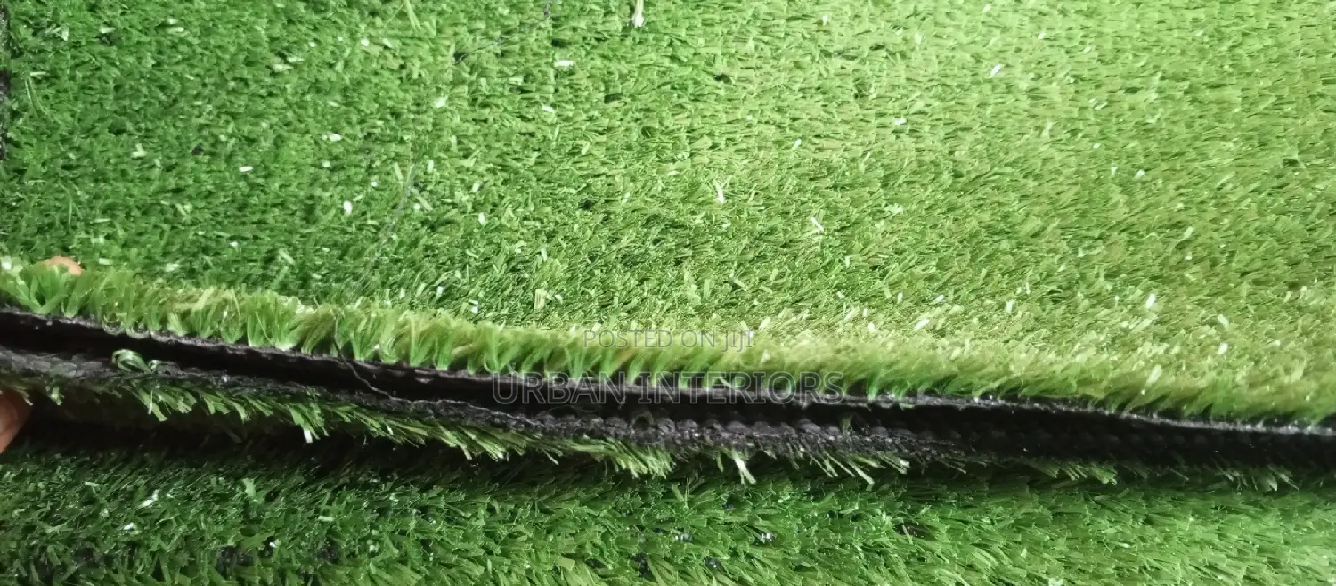 Grass Carpet Grass Carpet Grass Carpet Grass Carpet