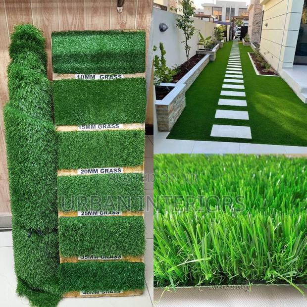 Grass Carpet Grass Carpet Grass Carpet Grass Carpet - main view