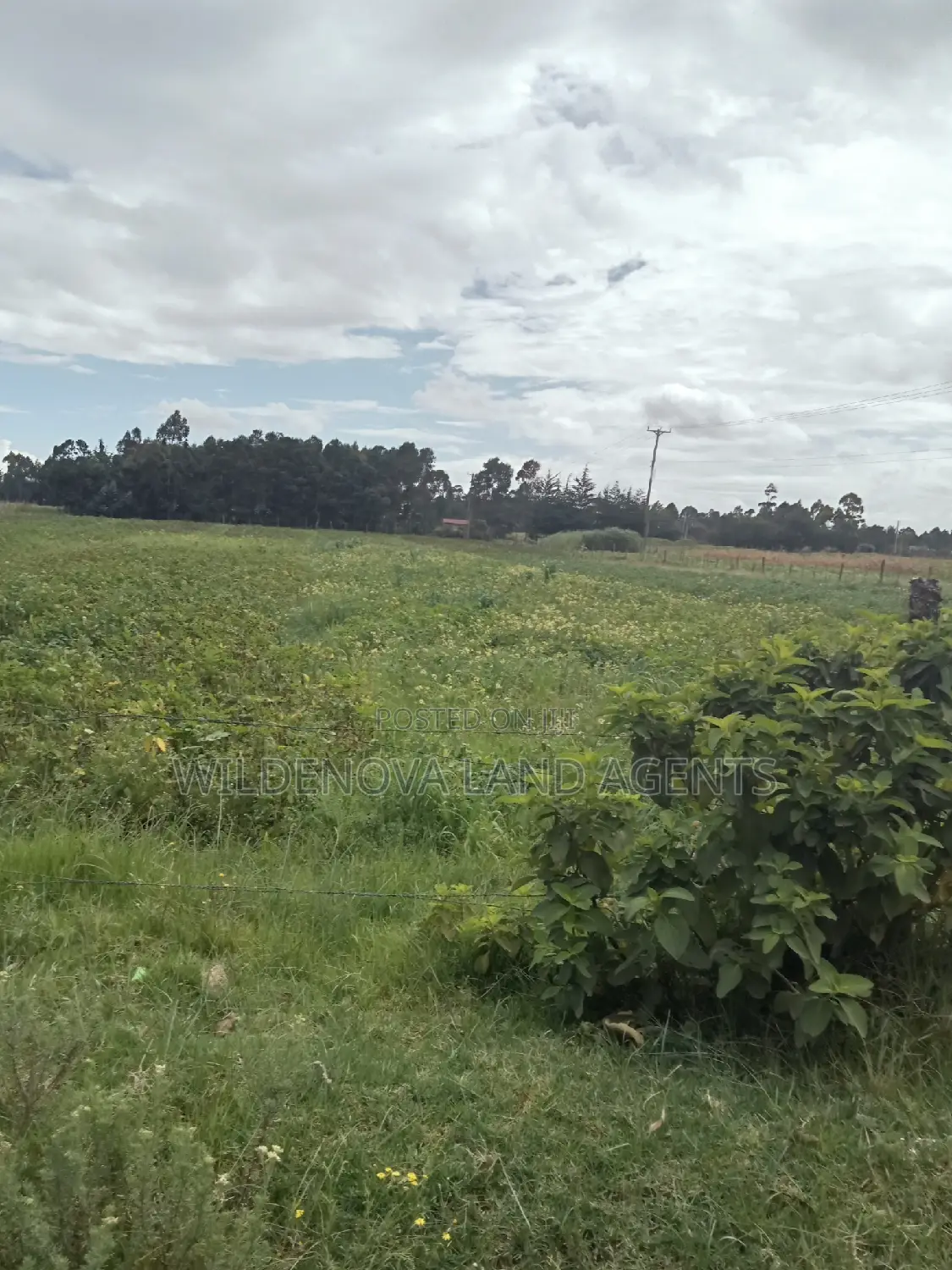 2 Acre on Sale at Nyakio Kinangop